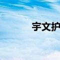 宇文护演员表（宇文护扮演者）