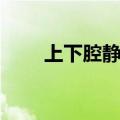 上下腔静脉有瓣膜吗（上下腔静脉）