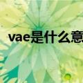 vae是什么意思啊计算机（vae是什么意思）