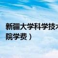 新疆大学科学技术学院2021招生计划（新疆大学科学技术学院学费）