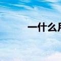 一什么月亮填词语（一什么月光）
