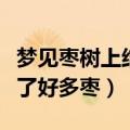 梦见枣树上结了好多枣有虫子（梦见枣树上结了好多枣）
