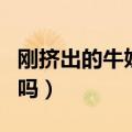 刚挤出的牛奶可以喝吗（刚挤出来的牛奶能喝吗）