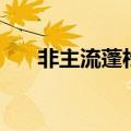 非主流蓬松发型女（非主流蓬松发型）