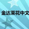 金达莱花中文歌词意思（金达莱花中文歌词）