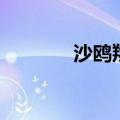 沙鸥翔集的翔集（沙鸥翔集）