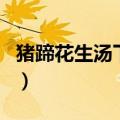 猪蹄花生汤下奶吗能喝吗（猪蹄花生汤下奶吗）