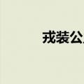 戎装公主 秘籍代码（戎装公主）