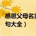 感恩父母名言名句经典摘抄（感恩父母名言名句大全）