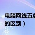 电脑网线五类和六类的区别（网线五类和六类的区别）