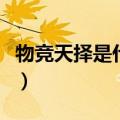 物竞天择是什么意思啊（物竞天择是什么意思）