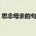 思念母亲的句子经典语句（思念母亲的句子）