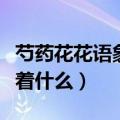 芍药花花语象征着什么精神（芍药花花语象征着什么）