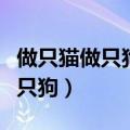 做只猫做只狗别再做情人是什么歌（做只猫做只狗）