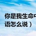 你是我生命中的唯一用英语怎么说（唯一用英语怎么说）