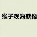 猴子观海就像什么仿写（猴子观海就像什么）