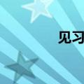 见习（见习和实习的区别）