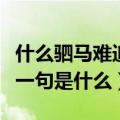什么驷马难追的上一句是什么（驷马难追的上一句是什么）
