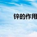 锌的作用和补硒的好处（锌的作用）