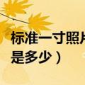 标准一寸照片尺寸多大（标准一寸照片的尺寸是多少）