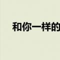 和你一样的人英文（和你一同什么的人）