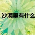 沙漠里有什么动物有毒（沙漠里有什么动物）