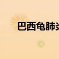 巴西龟肺炎需要干养吗（巴西龟肺炎）