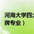 河海大学四大王牌专业排名（河海大学四大王牌专业）