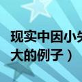 现实中因小失大的例子有哪些（现实中因小失大的例子）