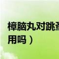 樟脑丸对跳蚤有用吗有毒吗（樟脑丸对跳蚤有用吗）