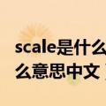scale是什么意思中文翻译怎么读（scale是什么意思中文）