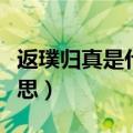 返璞归真是什么意思视频（返璞归真是什么意思）