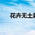 花卉无土栽培的优点（花卉无土栽培）