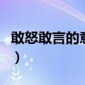 敢怒敢言的意思是什么解释（敢怒敢言的意思）