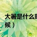 大暑是什么时候代表什么意思（大暑是什么时候）