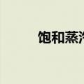 饱和蒸汽压的测定（饱和蒸汽压）