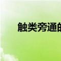 触类旁通的具体例子（触类旁通造句）