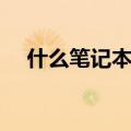 什么笔记本电脑好（什么笔记本比较好）
