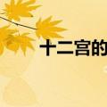 十二宫的凶手（十二宫连环杀人案）