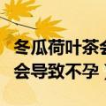 冬瓜荷叶茶会不会影响月经不调（冬瓜荷叶茶会导致不孕）
