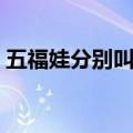 五福娃分别叫什么名称（五福娃分别叫什么）