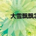 大雪飘飘怎么写（大雪飘飘打一成语）