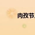 肉孜节几号2024（肉孜节几号）