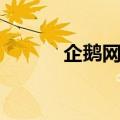 企鹅网是做什么的（网络企鹅）