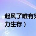 起风了唯有努力生存什么意思（起风了唯有努力生存）