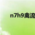 n7h9禽流感最新消息（n7h9禽流感）
