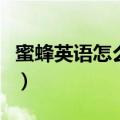 蜜蜂英语怎么读音发音视频（蜜蜂英语怎么读）