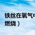 铁丝在氧气中燃烧失败的原因（铁丝在氧气中燃烧）