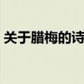 关于腊梅的诗句古诗大全（关于腊梅的诗句）
