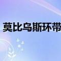 莫比乌斯环带左手还是右手（莫比乌斯环带）